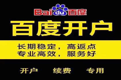 百度推广托管的成功策略：多角度解析案例